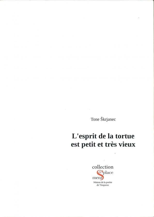 l'esprit de la tortue